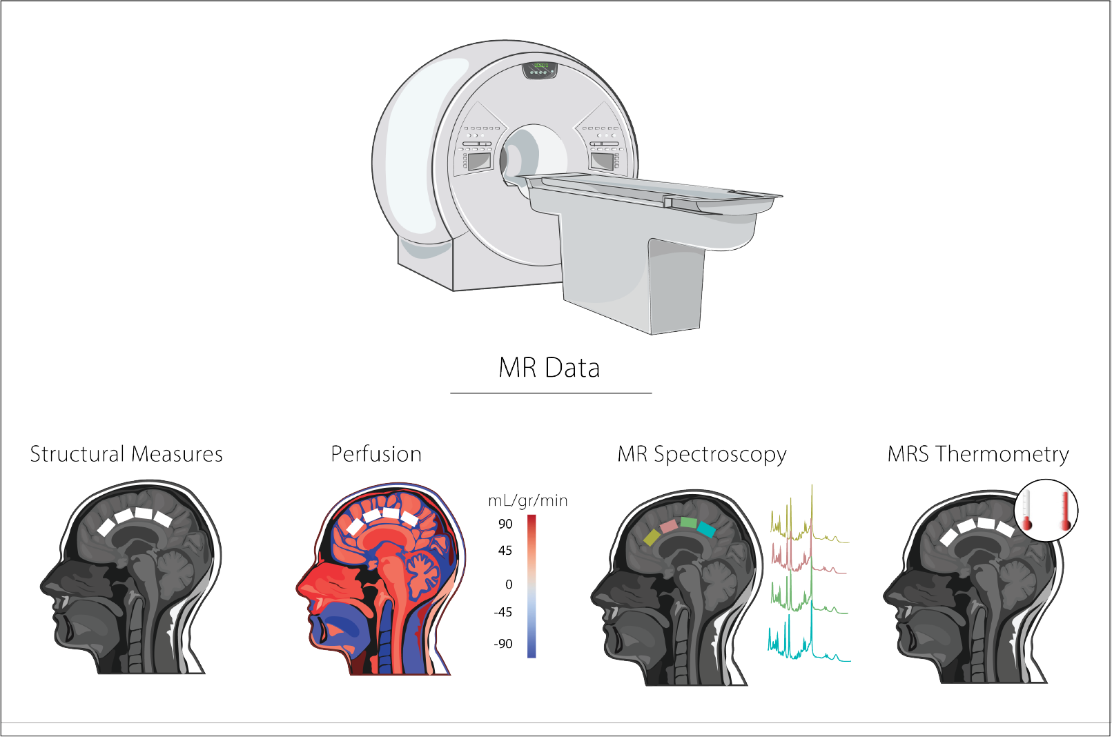 Study design. MR scans included an anatomical 3DT1, a pseudo-continuous arterial spin labelling (pCASL) sequence, and an MR Spectroscopy (MRS) sequence sLASER. MRS data were collected at 4 different voxel locations (periungual anterior cingulate cortex [pACC], anterior mid-cingulate cortex [aMCC], posterior mid-cingulate cortex [pMCC], and the posterior cingulate cortex [PCC]) The order of the MRS acquisition from each voxel was randomized for each participant. Figure modified with text, markings, and colour after adaptation of “Nervous System & Medical Equipment” from Servier Medical Art by Servier, licensed under a Creative Commons Attribution 3.0 Unported License.